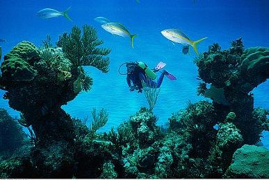 《生化危机4：重制版》豪华版服装公开 阿什莉新装美